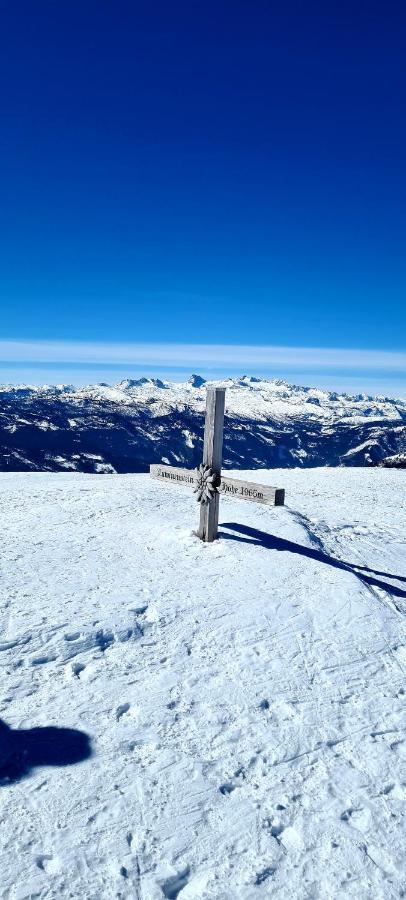 Ferienwohnungen Bergpanorama バート・ミッテルンドルフ エクステリア 写真