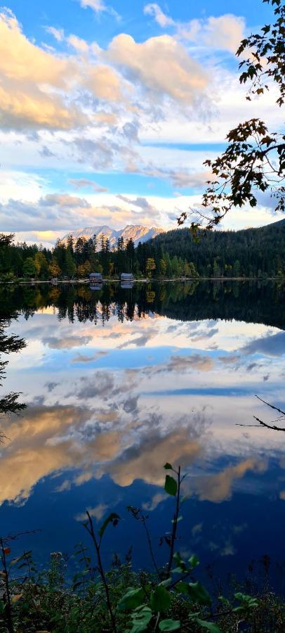 Ferienwohnungen Bergpanorama バート・ミッテルンドルフ エクステリア 写真